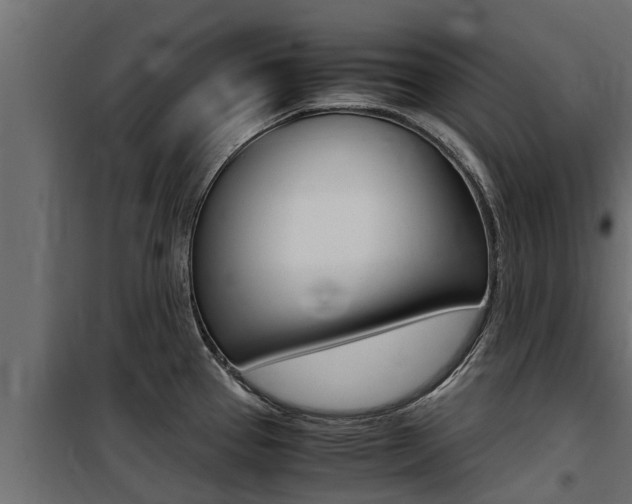 X0000100771337200806190924