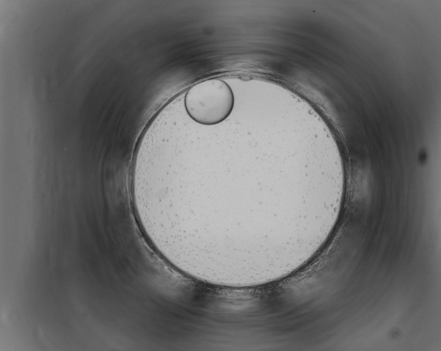 X0000100771338200806190924