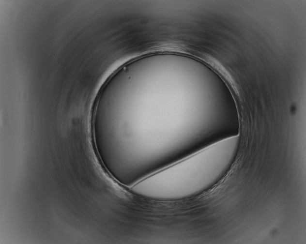 X0000100771339200806190924
