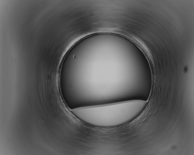 X0000100771340200806190924