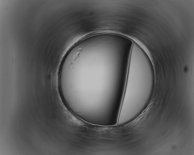 X0000100771341200806190924