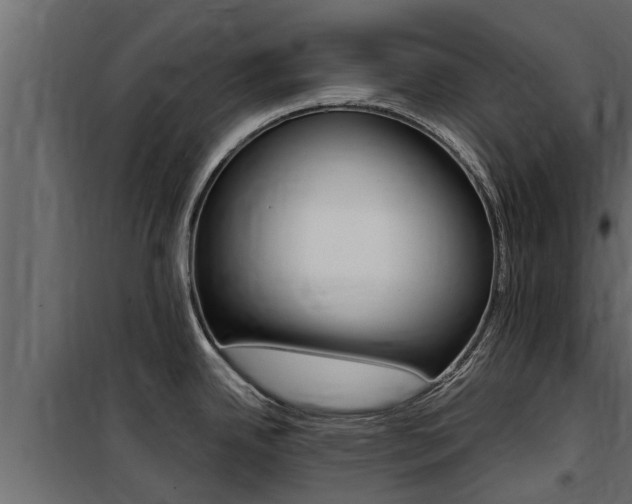 X0000100771342200806190924
