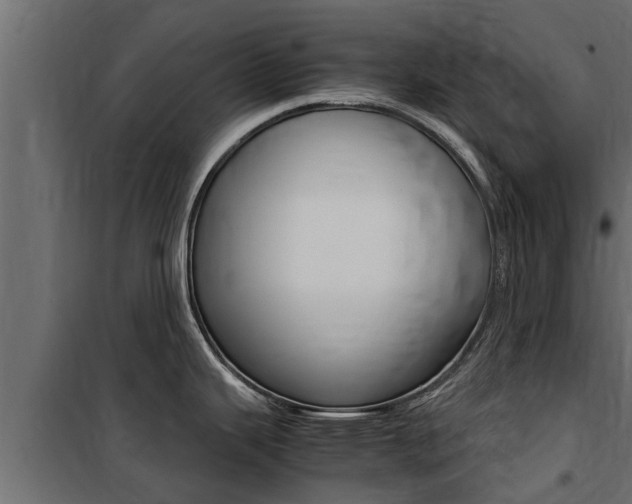 X0000100771343200806190924