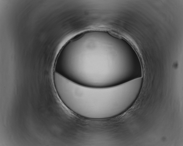X0000100771344200806190924