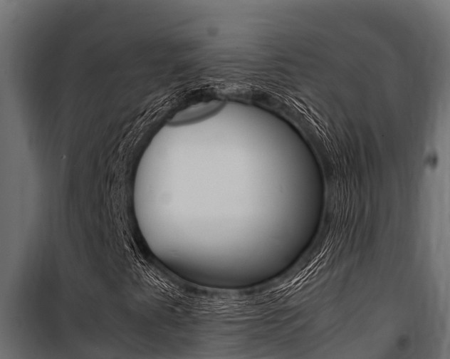 X0000100771345200806190923