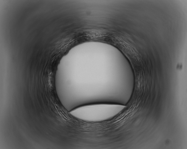 X0000100771346200806190923