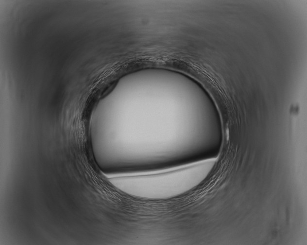 X0000100771347200806190923
