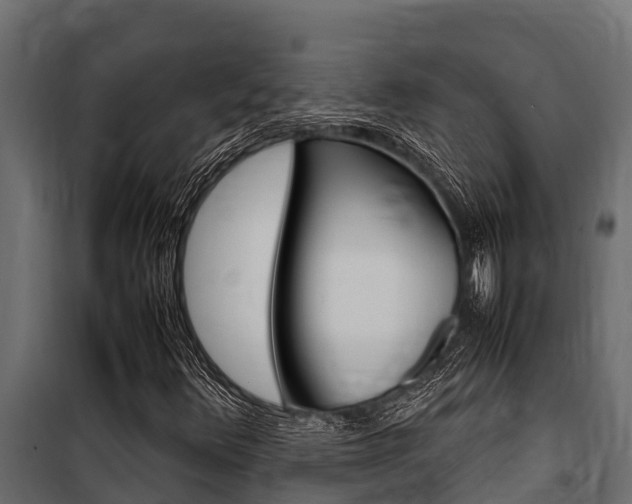 X0000100771348200806190923