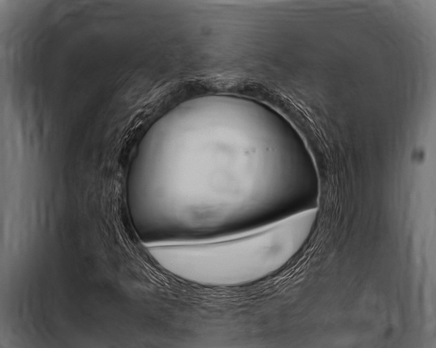 X0000100771349200806190923