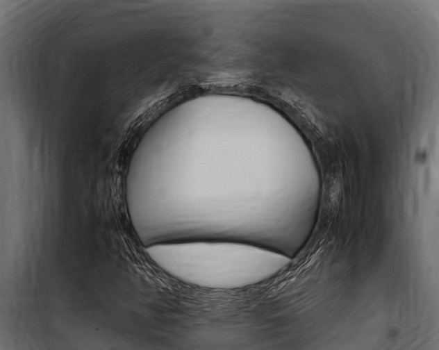 X0000100771350200806190923