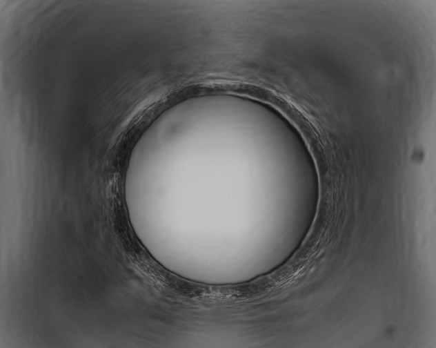 X0000100771351200806190923