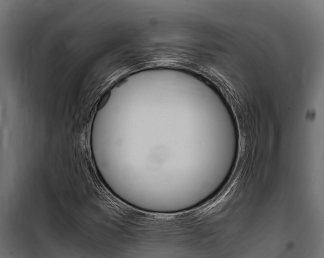 X0000100771353200806190923
