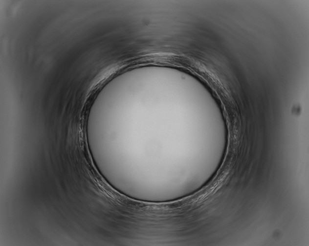 X0000100771354200806190923