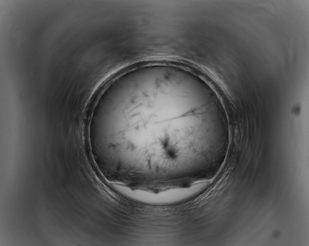 X0000100771356200806190923