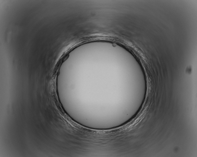 X0000100771357200806190923