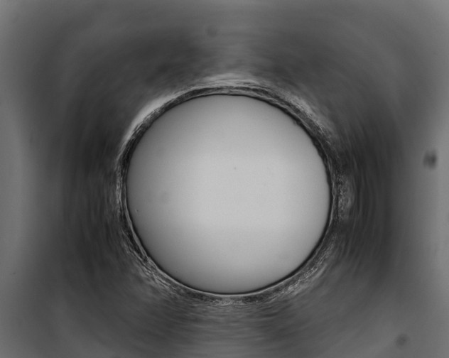 X0000100771358200806190923