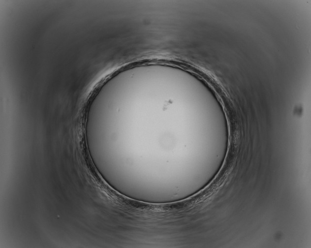 X0000100771359200806190923