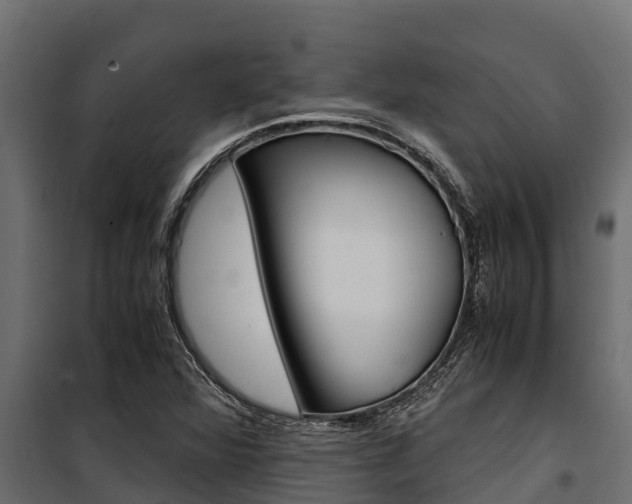X0000100771360200806190923