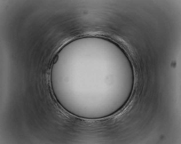 X0000100771361200806190923