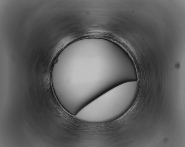 X0000100771362200806190923