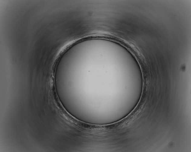 X0000100771363200806190923