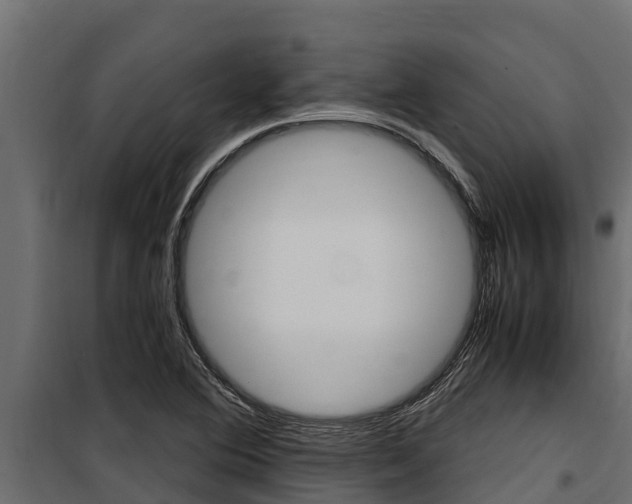 X0000100771364200806190923