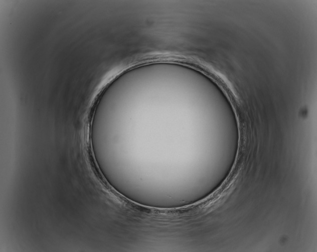X0000100771365200806190923