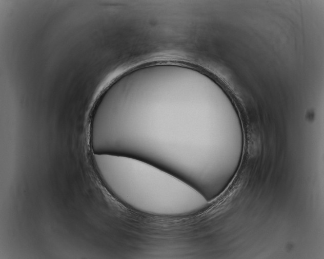 X0000100771366200806190923
