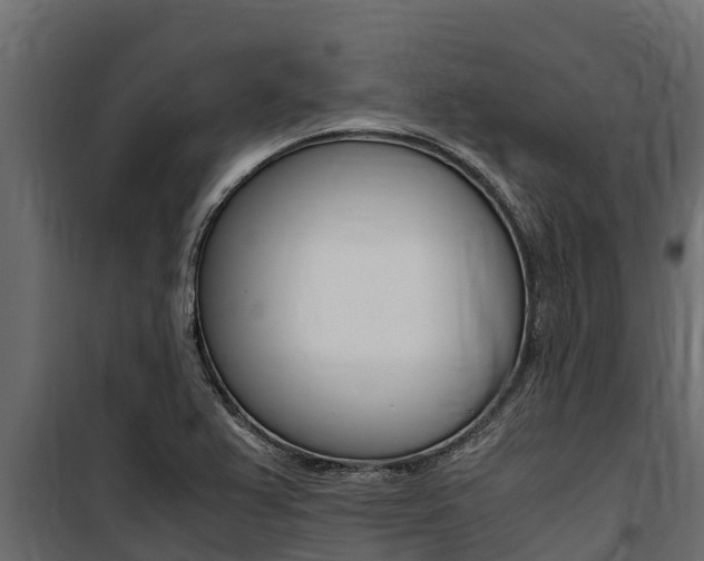 X0000100771367200806190923