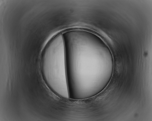 X0000100771368200806190923