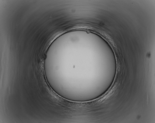 X0000100771369200806190923
