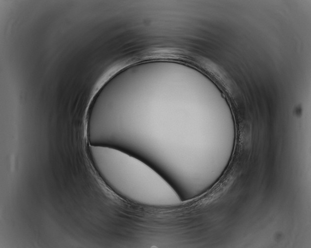 X0000100771370200806190923