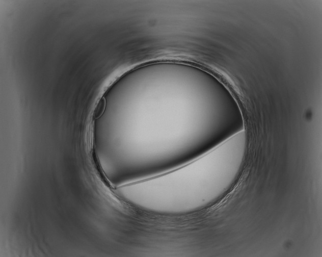 X0000100771371200806190923