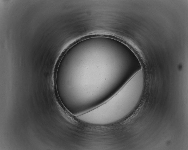 X0000100771372200806190923