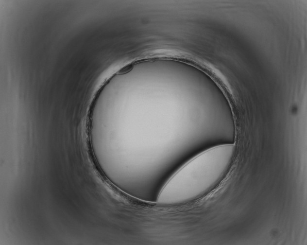 X0000100771373200806190923