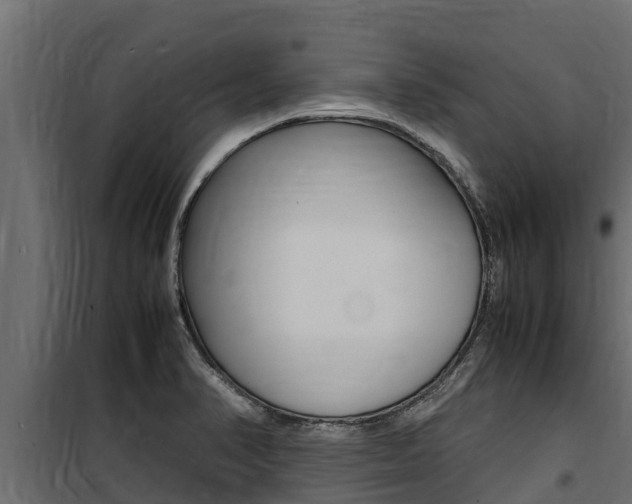 X0000100771374200806190923