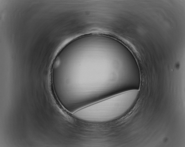 X0000100771375200806190923