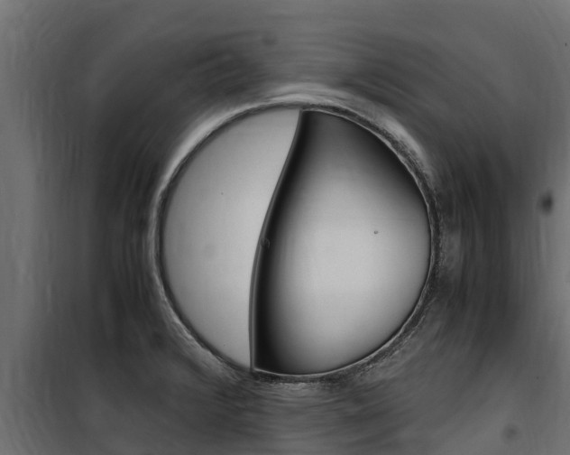 X0000100771376200806190923