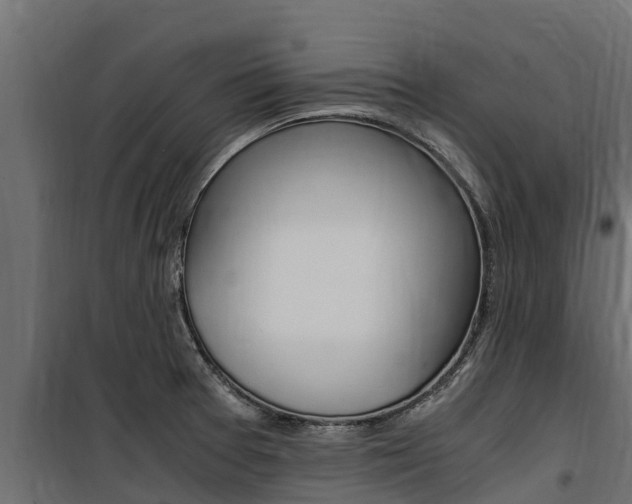 X0000100771377200806190923