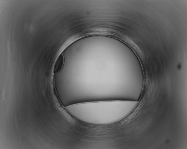 X0000100771378200806190923