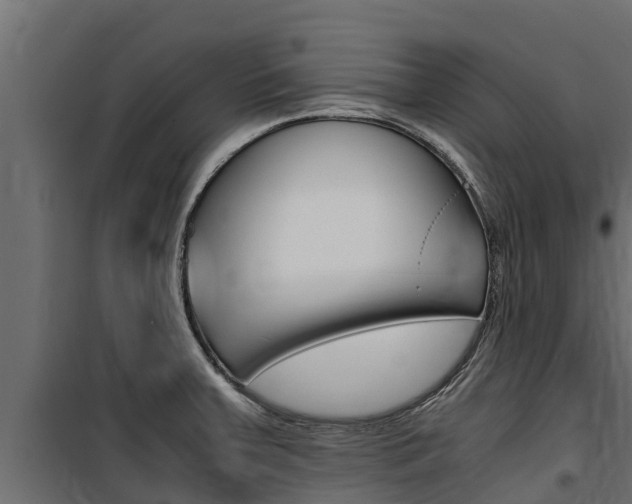 X0000100771379200806190923