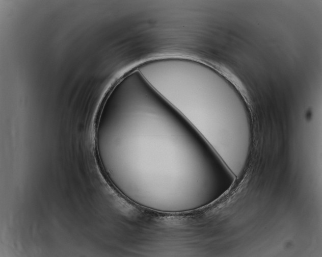 X0000100771380200806190923
