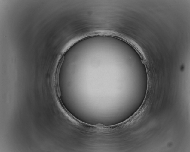X0000100771381200806190923