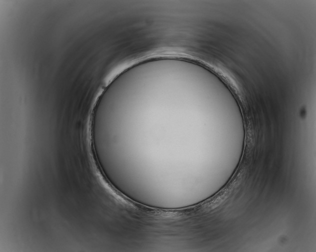 X0000100771382200806190923