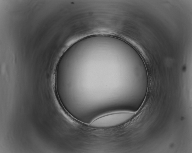 X0000100771383200806190923