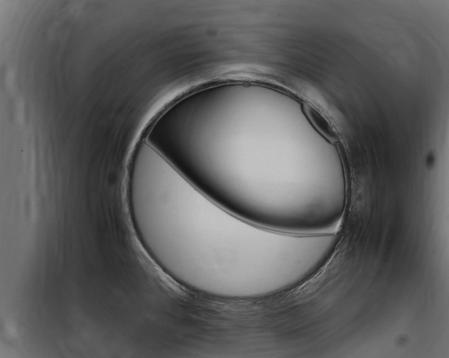 X0000100771384200806190923