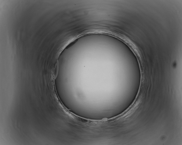 X0000100771385200806190923