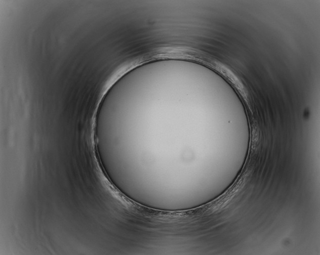 X0000100771386200806190923