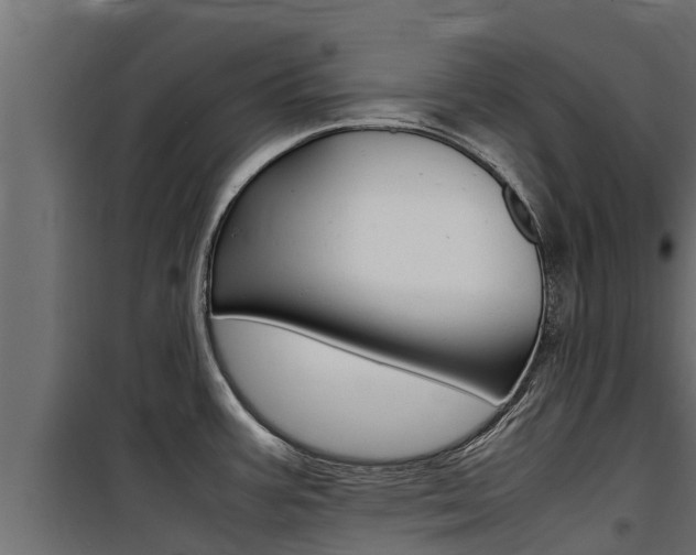 X0000100771387200806190923