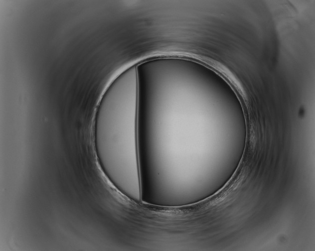 X0000100771388200806190923